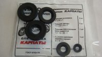 Набір сальників Карпати