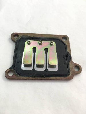 Пелюстковий клапан Yamaha CV-80